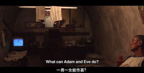 国产老人性视频在线,揭秘老年生活新视角